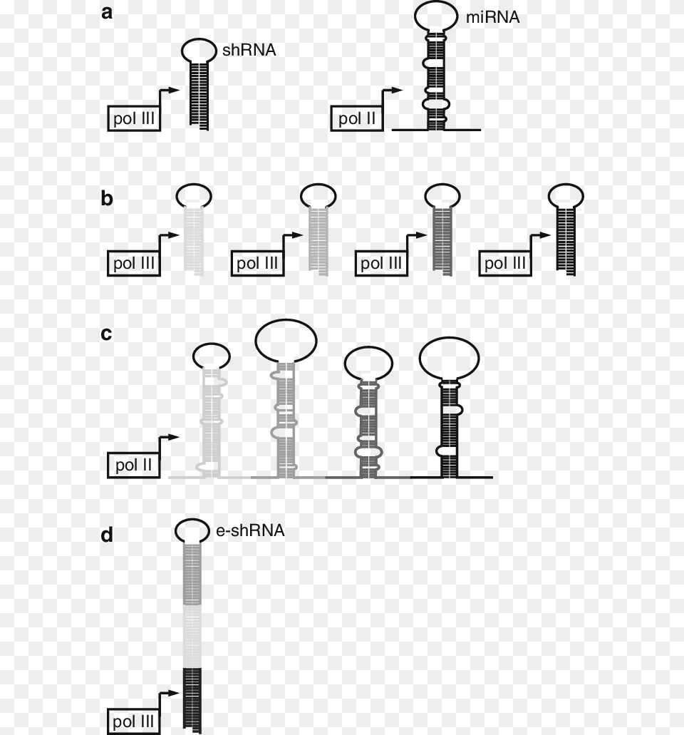 Navidad, Chart, Plot Free Png