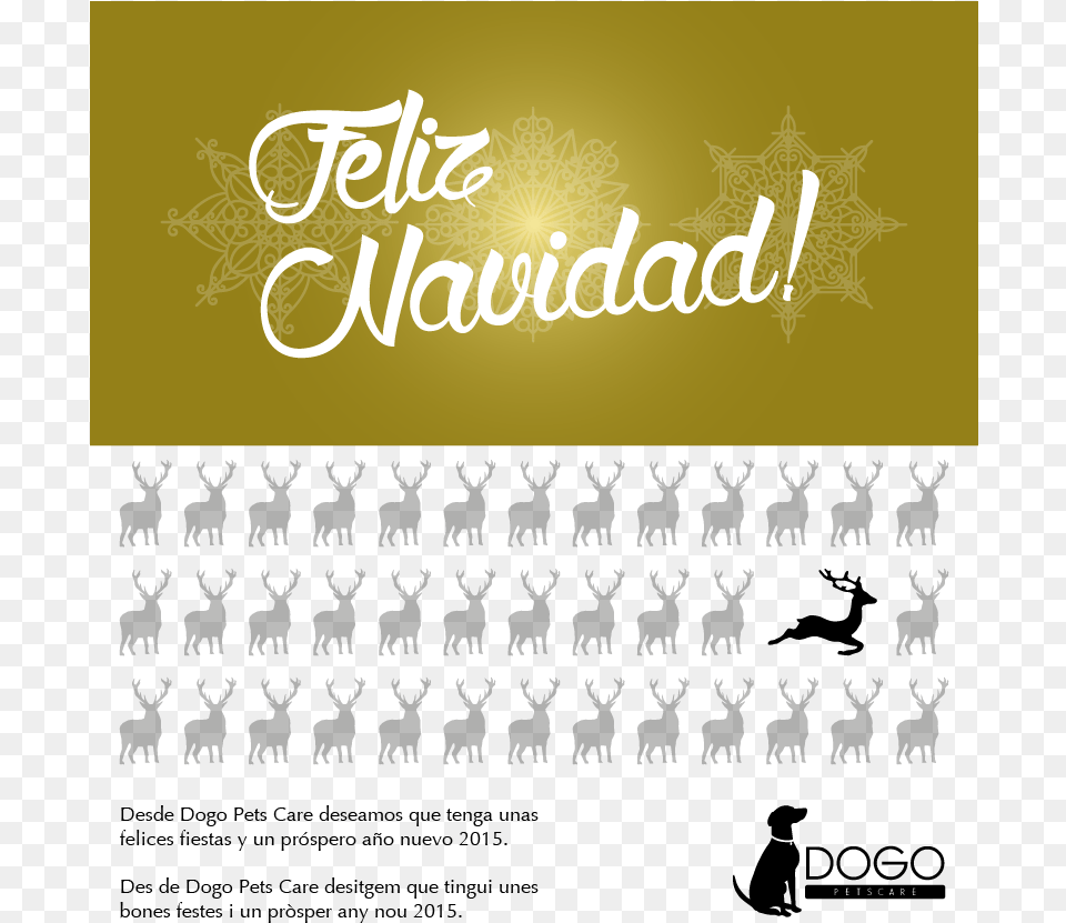 Navidad Dogo Cast 11 Dogo Pets Care, Book, Publication, Lighting, Text Free Png Download