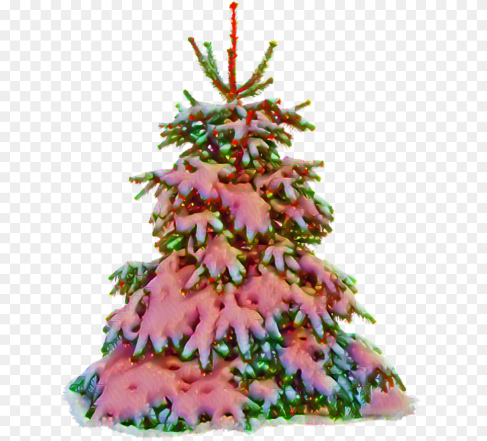 Navidad Merrychristmas Xmas Pino Tree, Plant, Christmas, Christmas Decorations, Festival Png