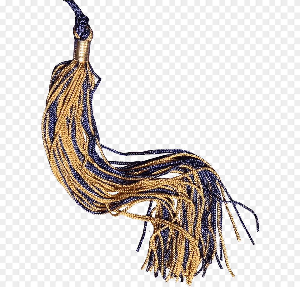Navy And Gold Graduation Tassel Insect, Accessories, Jewelry, Necklace, Bead Free Png Download