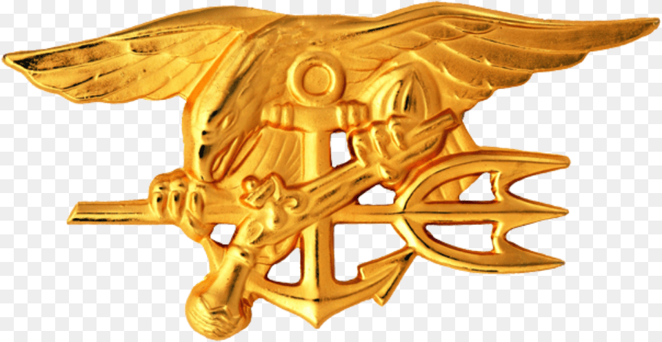 Navy Seals, Accessories, Animal, Fish, Sea Life Free Png Download