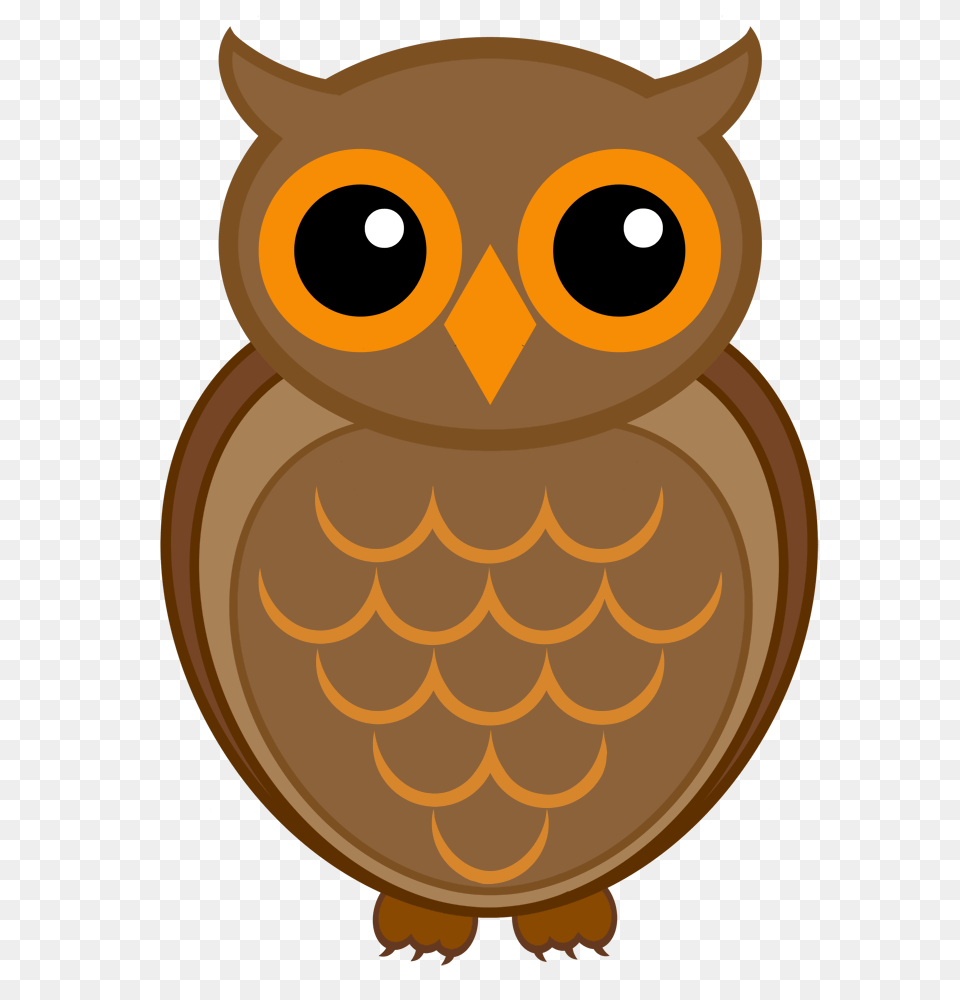 Nawie Marla, Animal, Bird, Owl Free Png Download