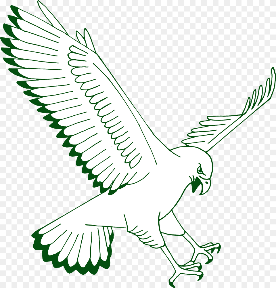 Nc Automotive Decal, Animal, Bird, Flying Free Transparent Png