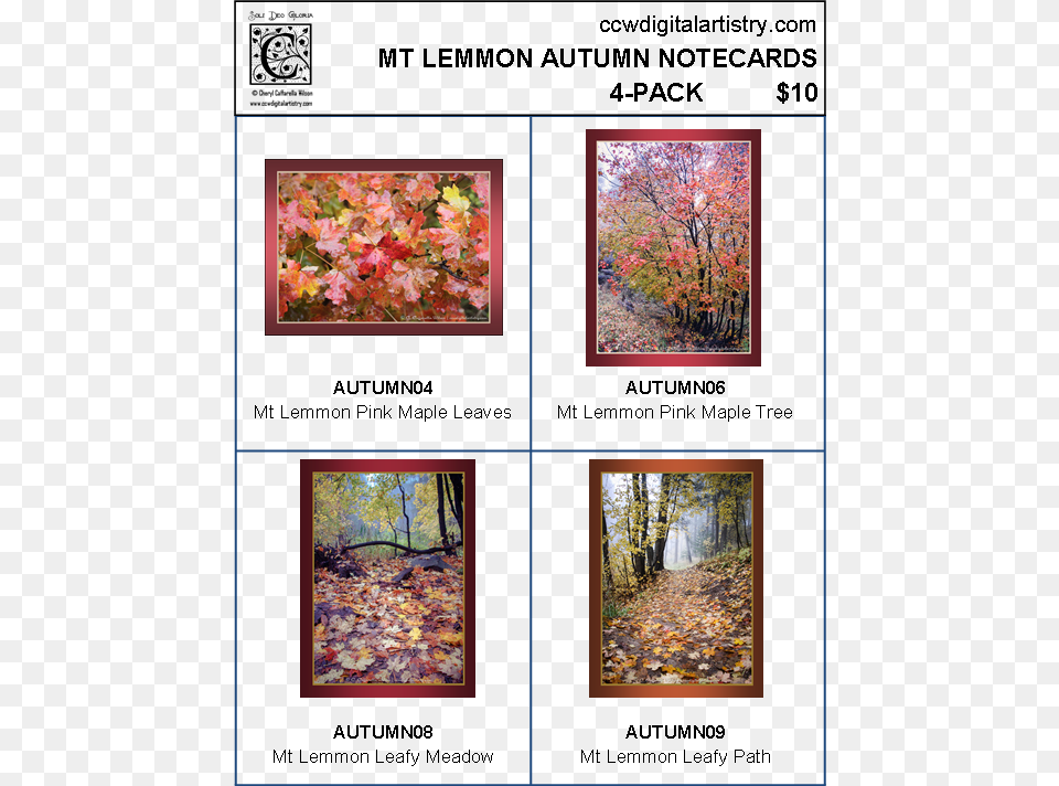 Nc Mt Lemmon Autumn 4 Pk Mount Lemmon, Art, Collage, Plant, Tree Png