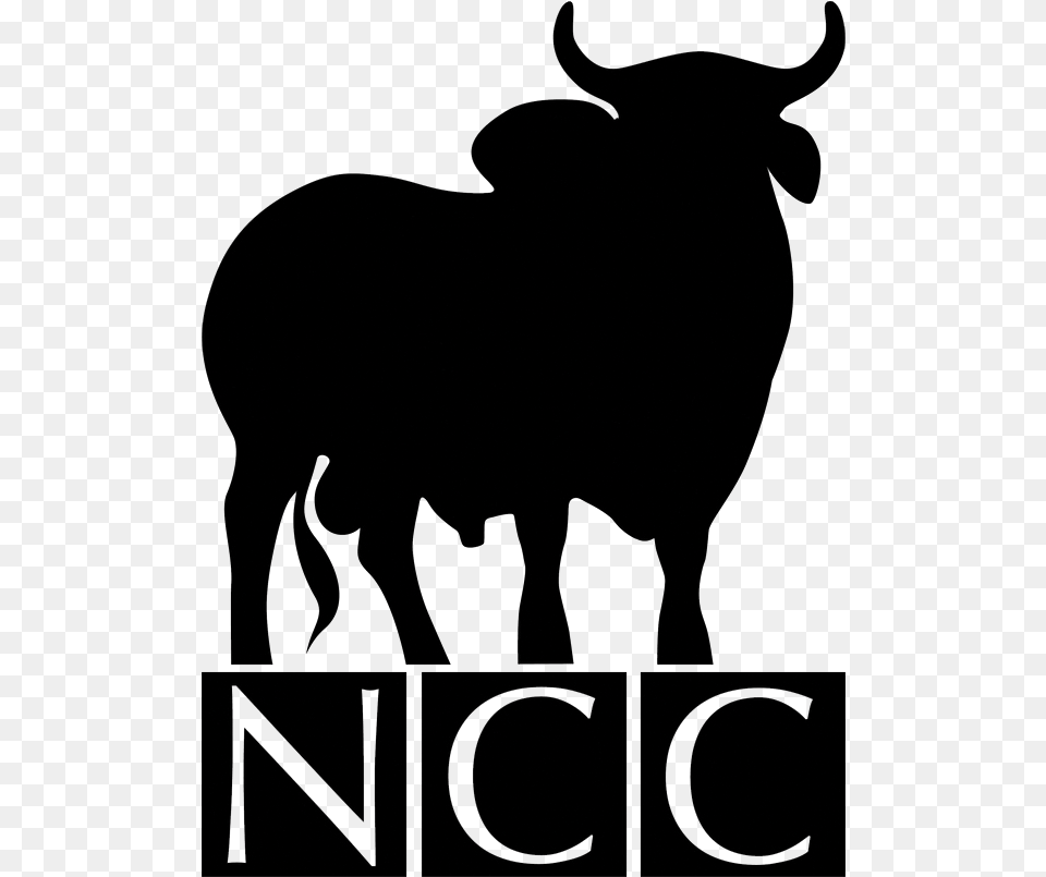 Ncc Brahmans Brahman Bull Head Silhouette Brahman Bull Head Silhouette, Animal, Mammal, Buffalo, Wildlife Free Png