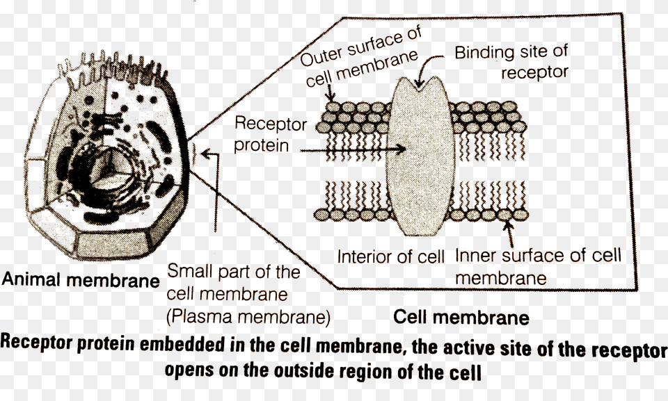 Ncert Science Book Class, Ct Scan, Machine, Spoke, Electronics Free Png Download