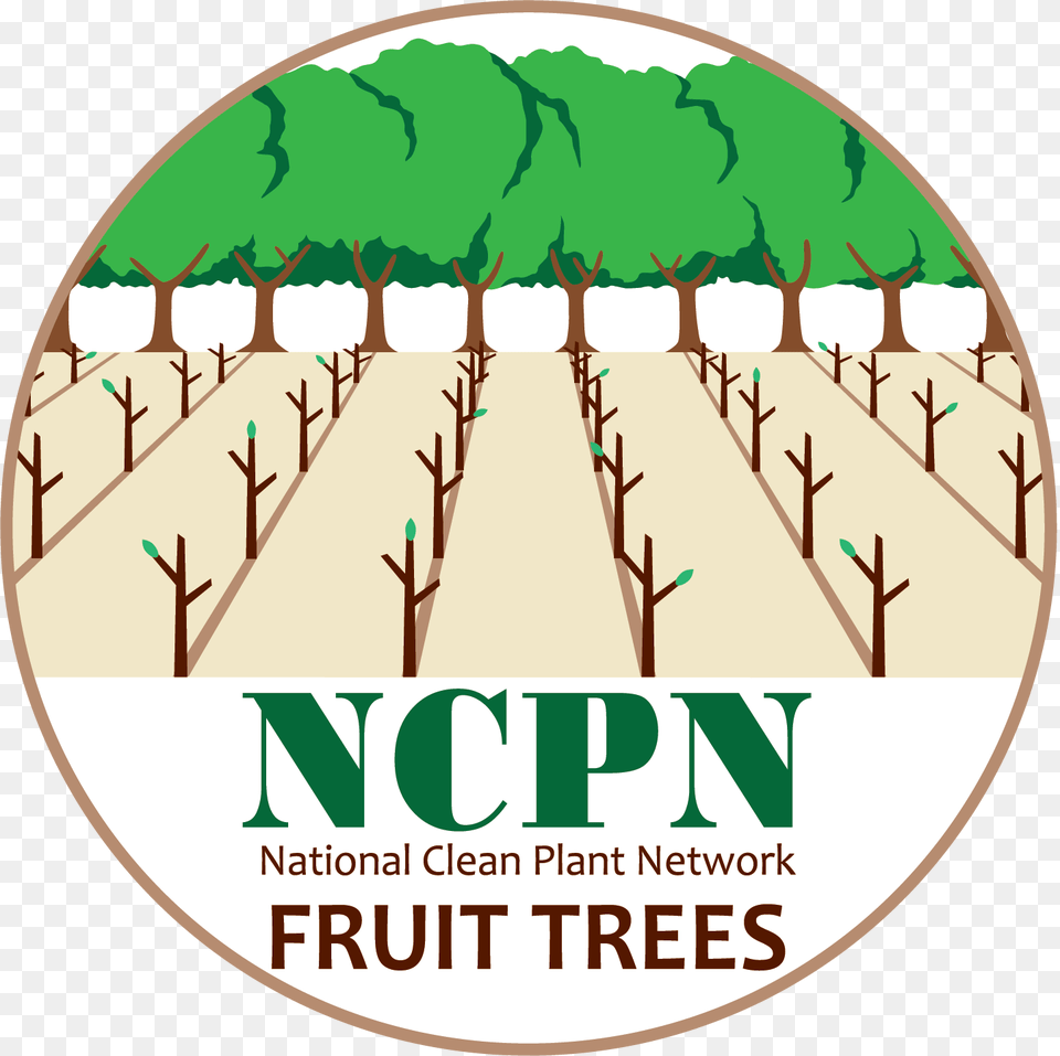 Ncpn Fruit Tree Hops, Agriculture, Outdoors, Nature, Field Free Transparent Png