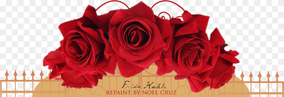 Ncruz Com, Flower, Plant, Rose, Flower Arrangement Free Transparent Png