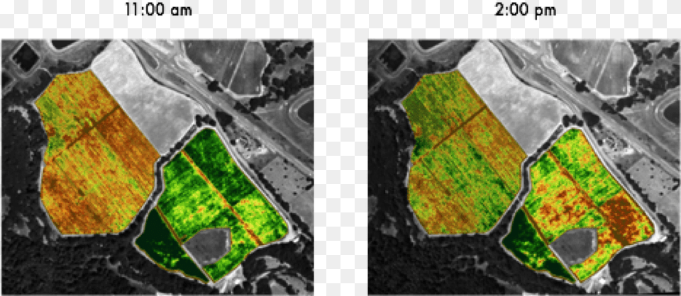 Ndvi Shows Different Results Just Three Hours Later Ndvi Vs Evi, Land, Nature, Outdoors, Plant Png