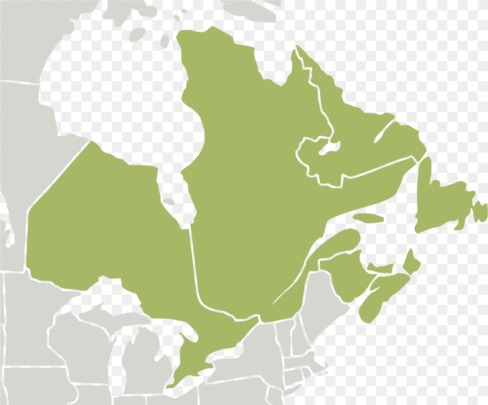 Nearctic Eastern Canada Svg Eastern Canada Map Blank, Chart, Plot, Baby, Person Free Png