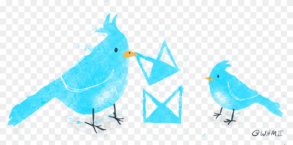 Neat Illustration Of 2 Birds Playing With The Neat Illustration, Animal, Bird, Jay, Person Png