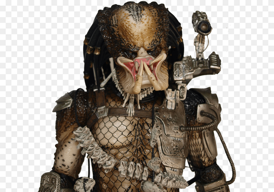 Neca Predator 1 4 Scale Closed Mouth, Adult, Bride, Female, Person Png