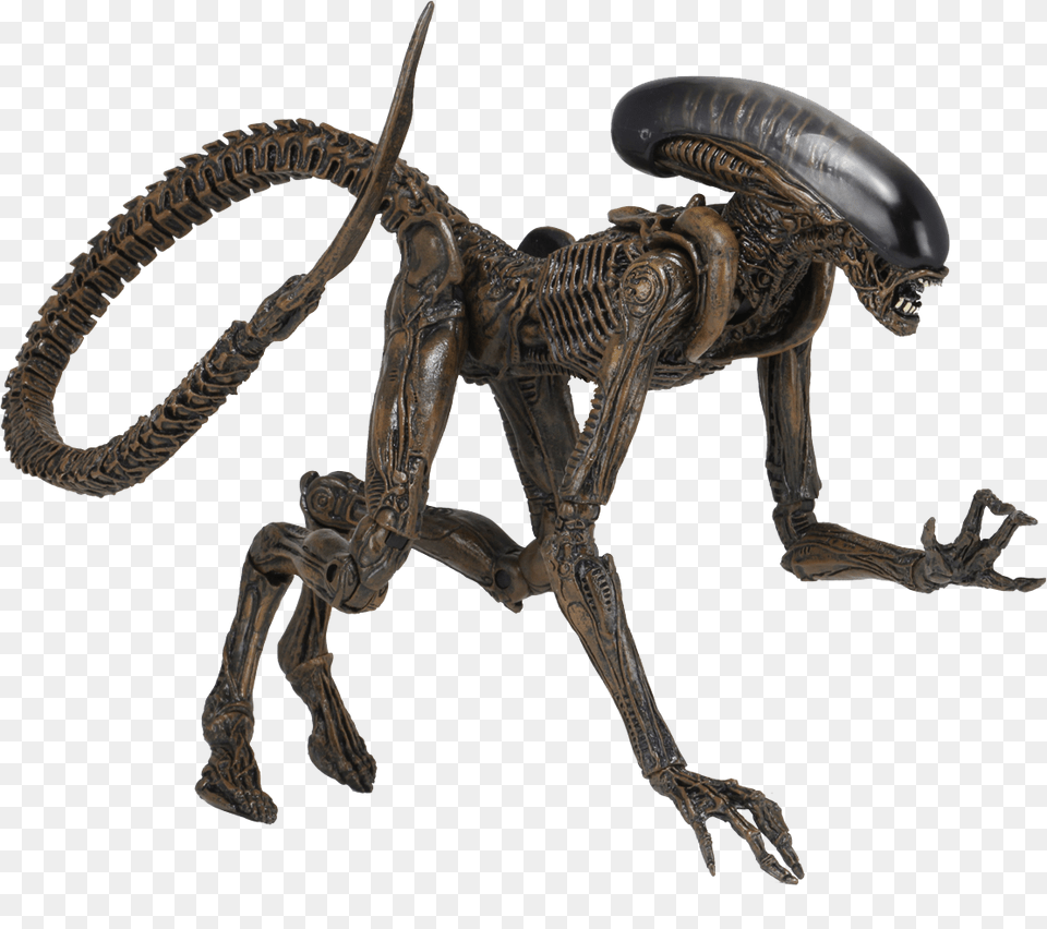 Neca Ultimate Dog Alien, Animal, Dinosaur, Reptile Png