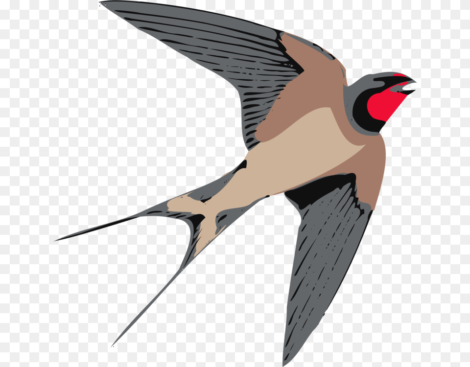 Neckbeaksongbird Swallow Clipart, Animal, Bird, Fish, Sea Life Png Image