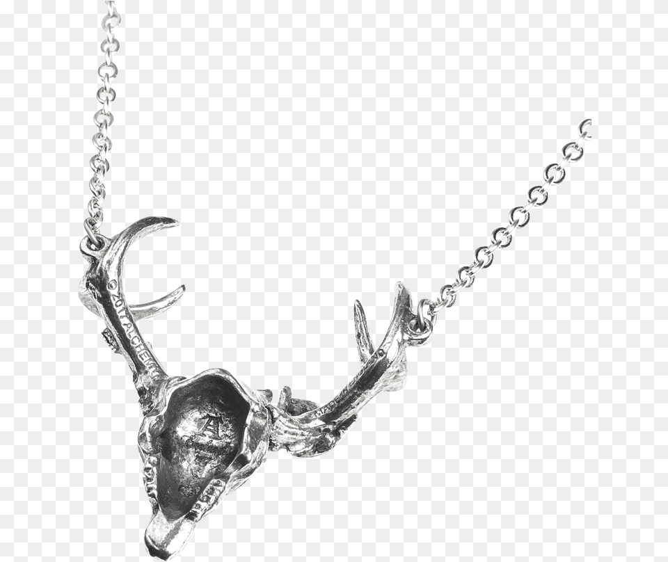 Necklace, Accessories, Jewelry, Antler Free Png