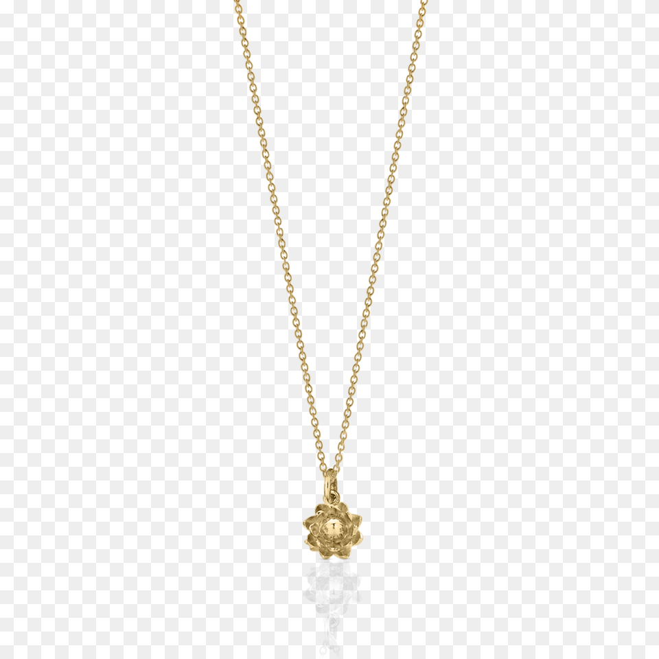 Necklace, Accessories, Jewelry, Pendant, Diamond Free Transparent Png