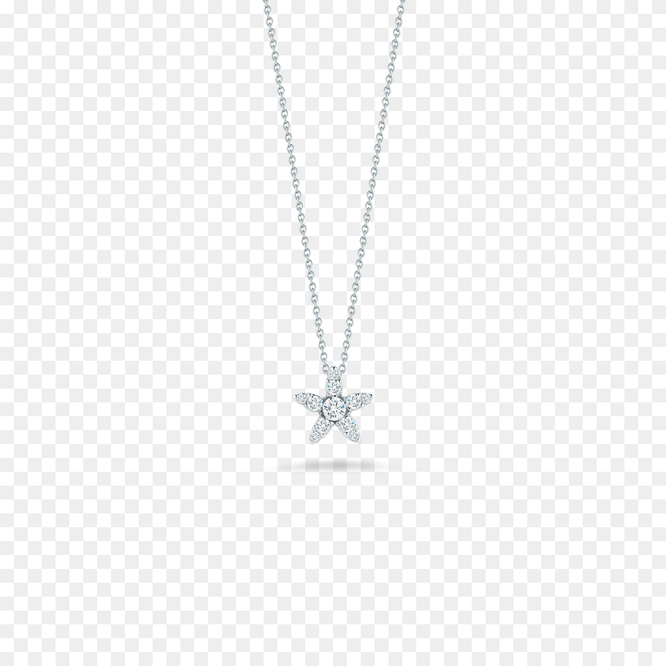 Necklace, Accessories, Jewelry, Pendant, Diamond Free Transparent Png
