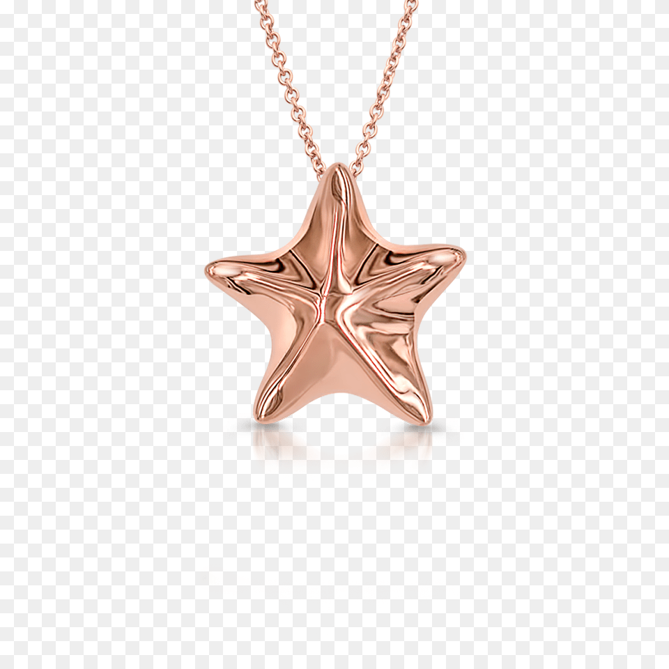 Necklace, Accessories, Jewelry, Adult, Female Free Png Download