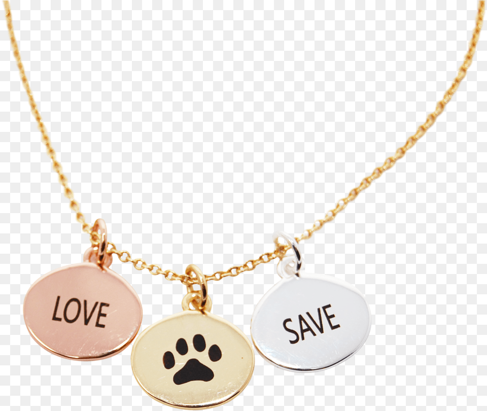 Necklace, Accessories, Jewelry, Pendant, Locket Free Png