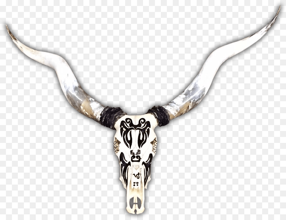 Necklace, Animal, Cattle, Livestock, Longhorn Free Transparent Png