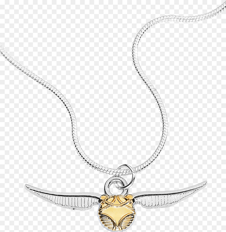 Necklace, Accessories, Jewelry, Pendant, Locket Free Png