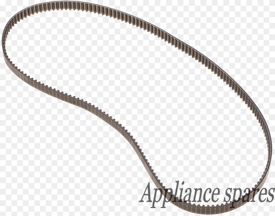 Necklace, Accessories, Strap, Animal, Reptile Free Transparent Png
