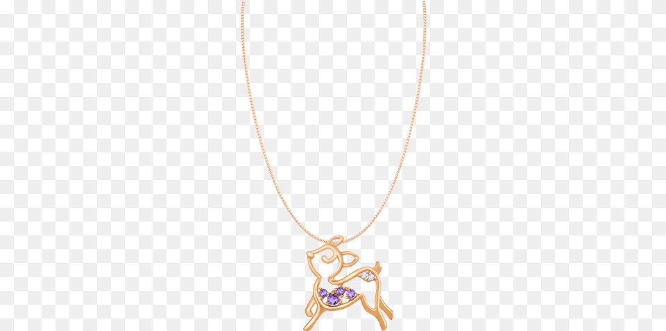 Necklace, Accessories, Jewelry, Pendant Free Transparent Png