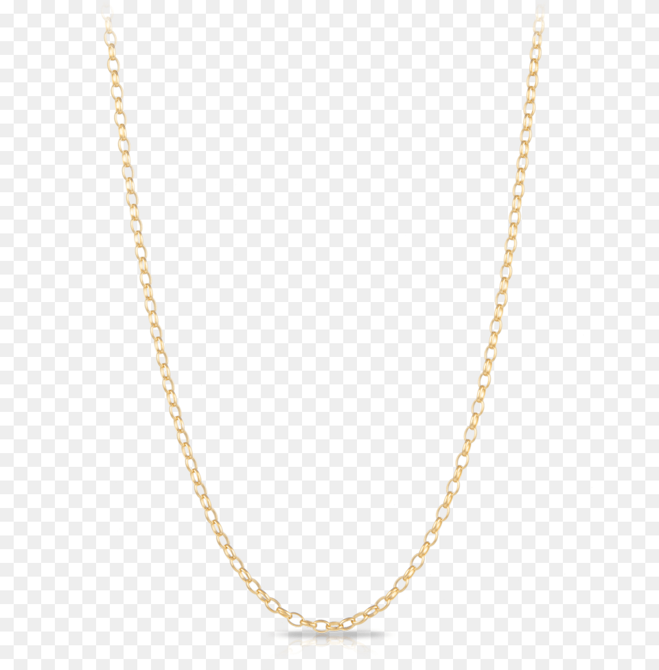 Necklace, Accessories, Jewelry, Chain Free Png