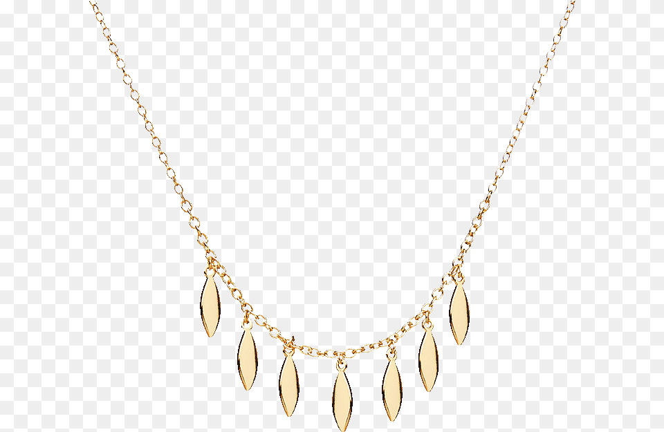 Necklace, Accessories, Jewelry, Diamond, Gemstone Png Image