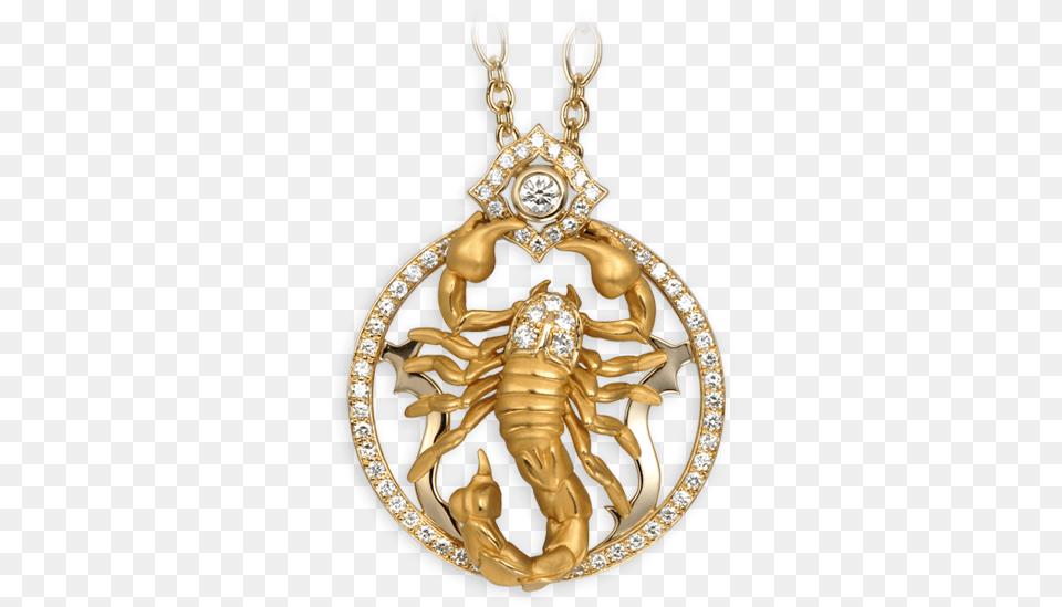 Necklace With Scorpion, Accessories, Gold, Pendant, Jewelry Free Png