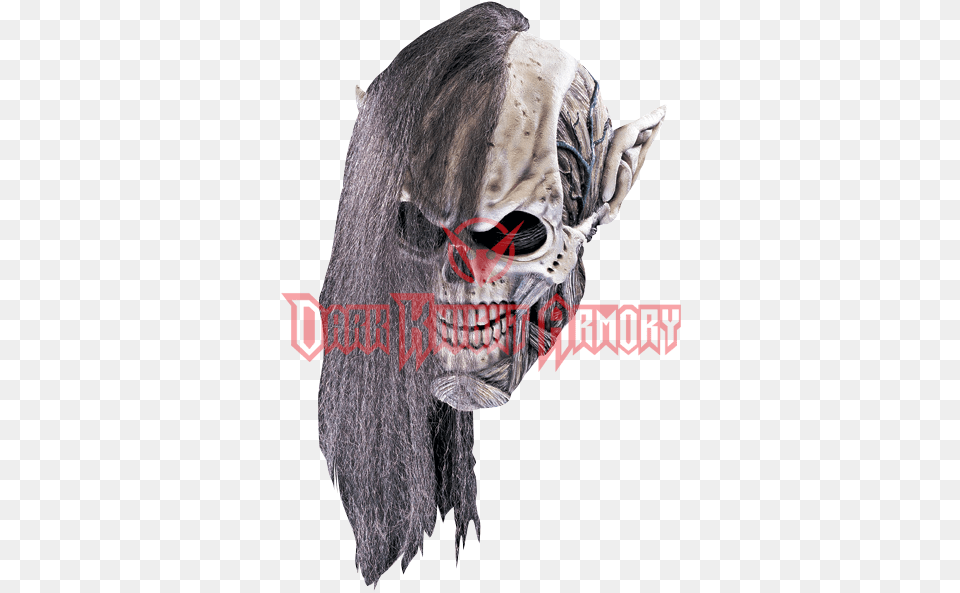 Necromancer Skull Mask Necromancer Costume Full Halloween Monsters, Adult, Female, Person, Woman Free Transparent Png