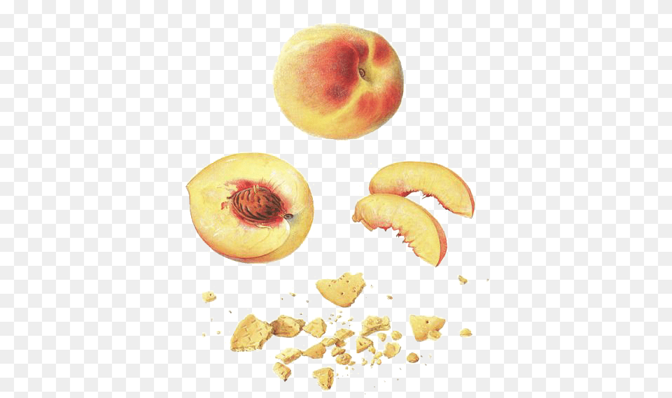 Nectarine, Food, Fruit, Plant, Produce Png Image