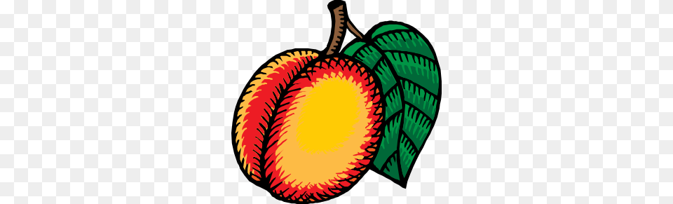 Nectarine Clip Art, Food, Fruit, Plant, Produce Png
