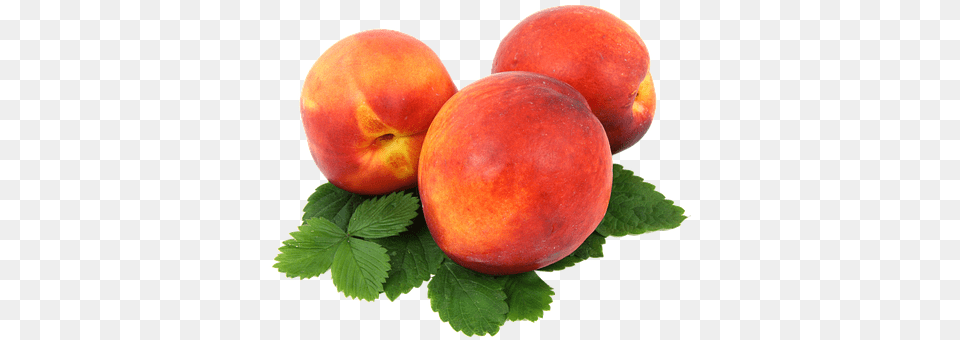 Nectarines Apple, Food, Fruit, Plant Free Png