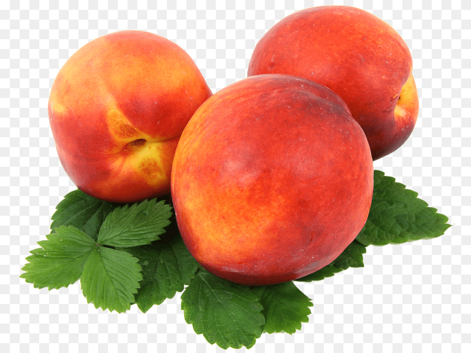 Nectarines Food, Fruit, Plant, Produce Free Png Download