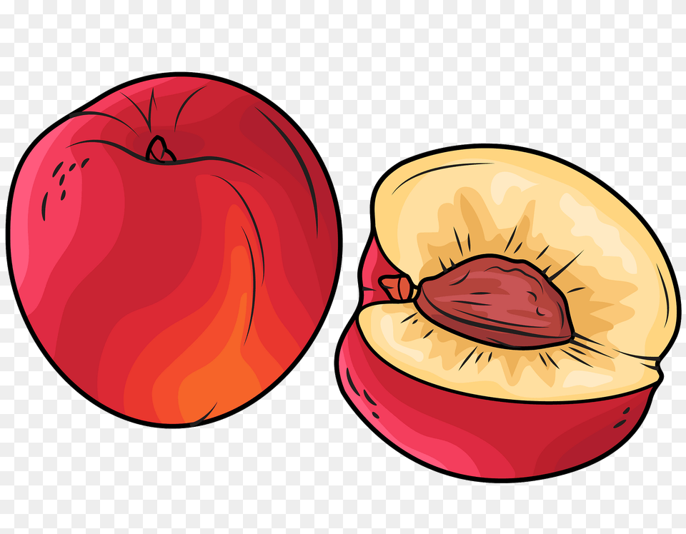 Nectarines Clipart, Food, Fruit, Plant, Produce Png Image