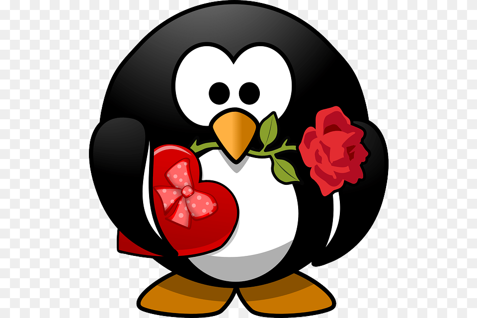 Need Know, Flower, Plant, Rose, Animal Free Png