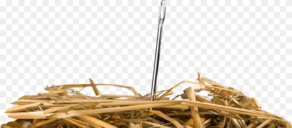 Needle In A Haystack What Tech Advances Are Shaping Drug Needle In Haystack, Countryside, Nature, Outdoors, Straw Free Transparent Png