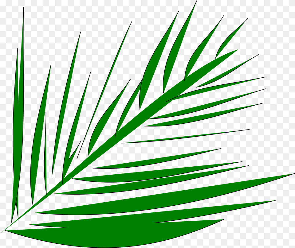 Needle Leaves Clipart, Grass, Green, Leaf, Plant Free Png