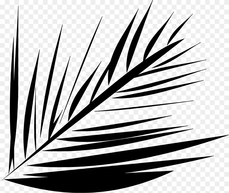 Needle Leaves Silhouette, Leaf, Plant, Art, Graphics Free Png Download