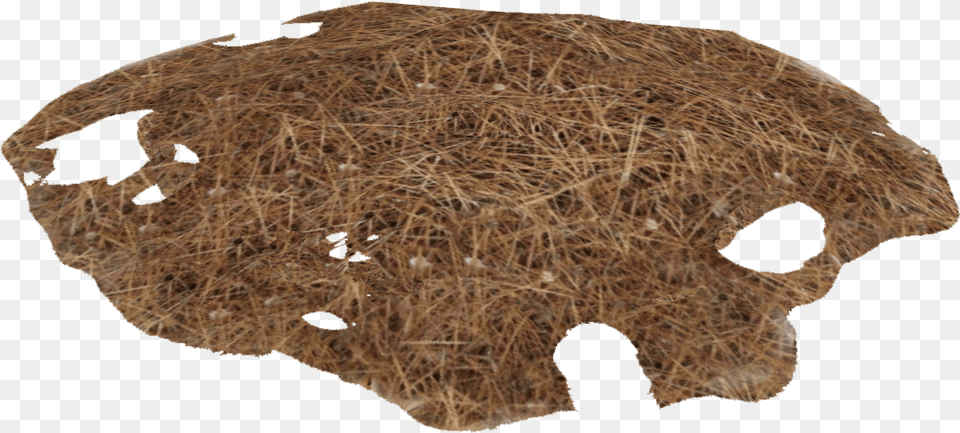 Needles Pile 1 Chocolate Cake Free Png