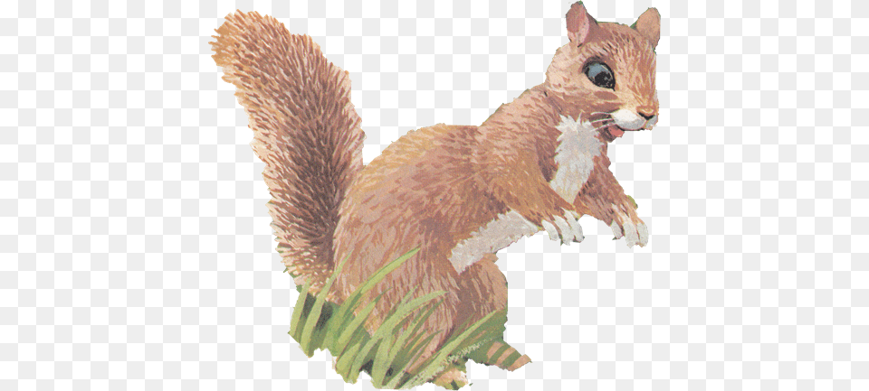 Needless To Say Bird Feeders Have Gotten More Technologically Eurasian Red Squirrel, Animal, Mammal, Rodent, Wildlife Free Png Download