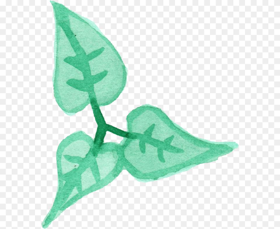 Needlework, Leaf, Plant, Vine, Herbal Png Image