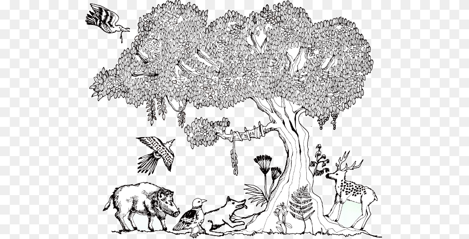 Neem Tree Neem Tree Line Drawing, Doodle, Art, Book, Comics Free Transparent Png