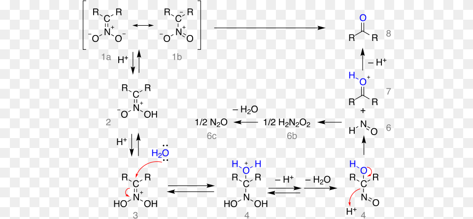 Nef Reaction Mechanism Nitronate Salt, Text Free Png