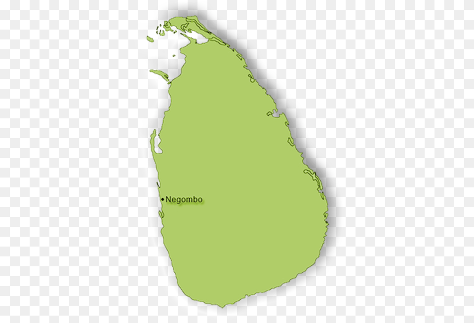Negombo Map Map, Plant, Sea, Water, Vegetation Png