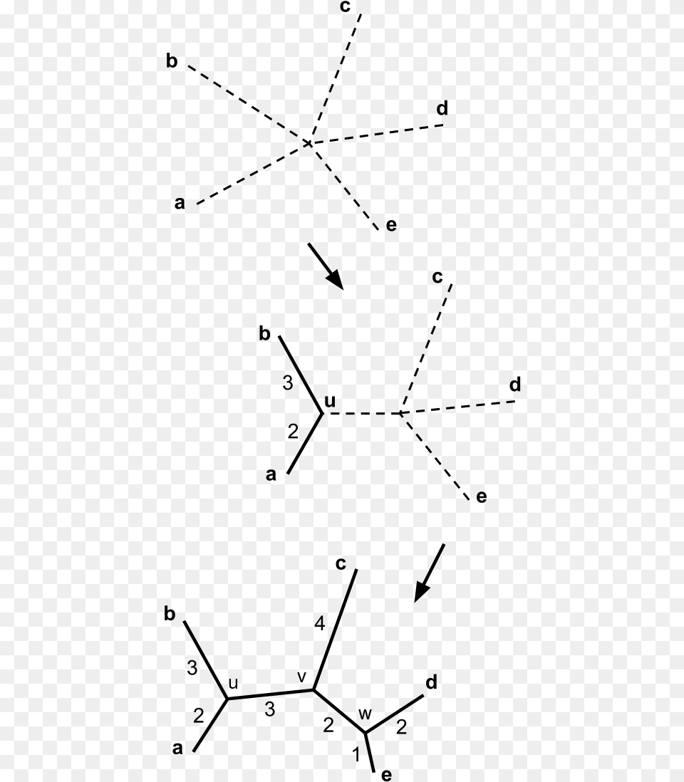 Neighbor Joining Tree, Gray Free Transparent Png