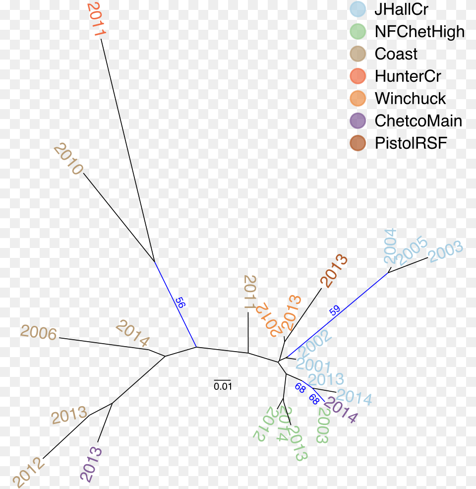Neighbor Joining Tree Based On Nei39s Distance Of The Diagram, Electronics, Mobile Phone, Phone Png