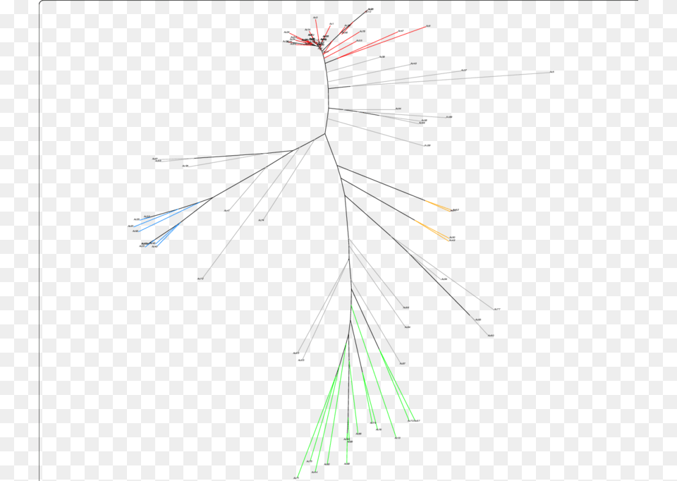 Neighbor Joining Tree Of 91 Cowpea Accessions With Line Art, Fireworks, Light Free Png
