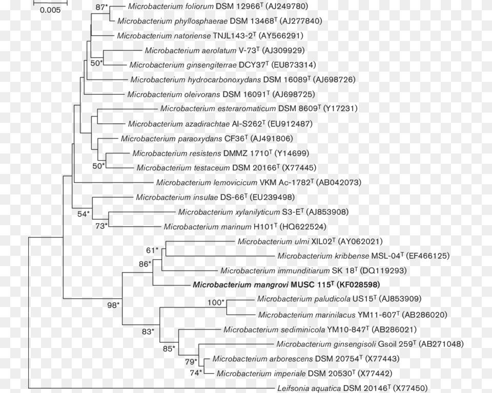 Neighbour Joining Tree Based On 16s Rrna Gene Sequences Document, Text, Page Free Png